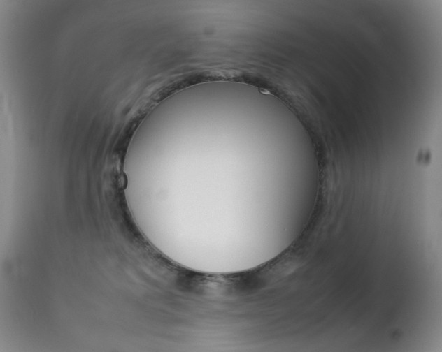 X0000112770229200908201357