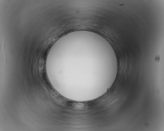 X0000112770230200908201357