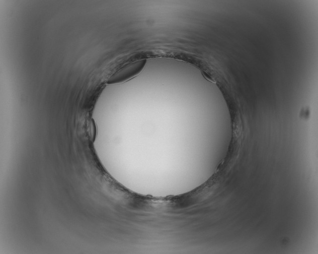 X0000112770233200908201357