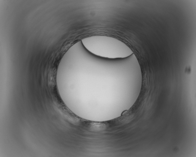 X0000112770234200908201357