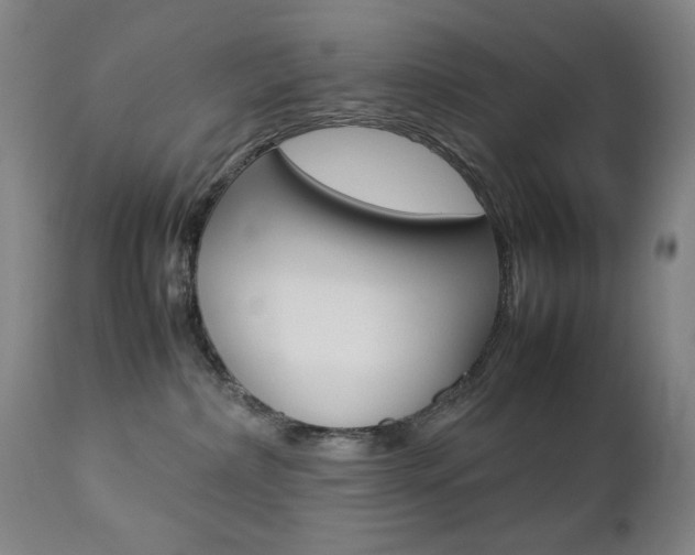 X0000112770236200908201357