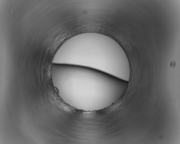 X0000112770240200908201357