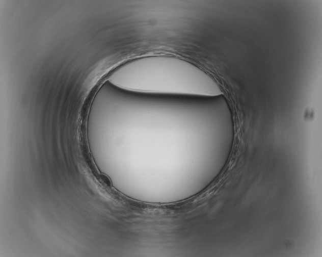X0000112770242200908201357