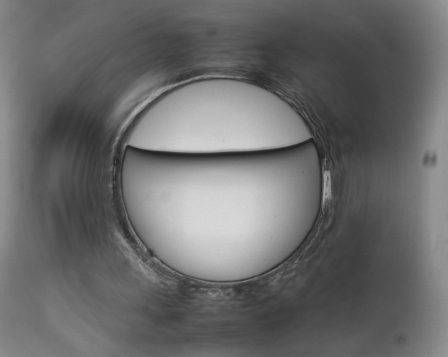X0000112770243200908201357