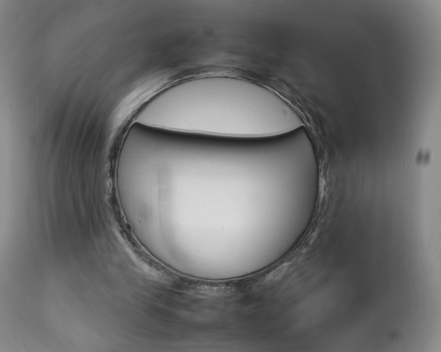 X0000112770245200908201357