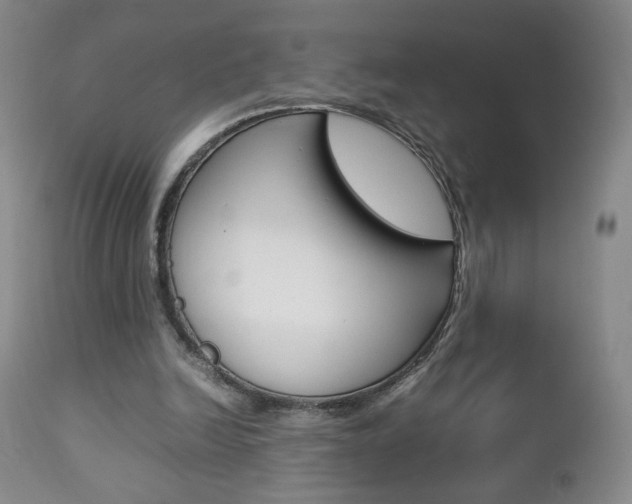 X0000112770246200908201357