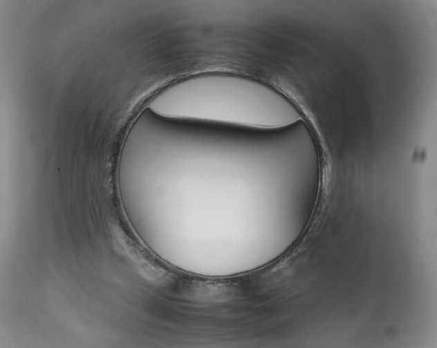 X0000112770249200908201357