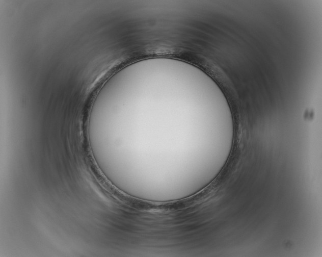 X0000112770251200908201357