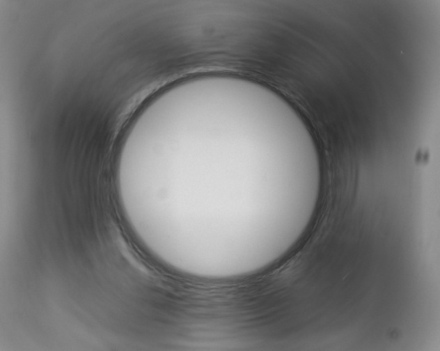 X0000112770252200908201357