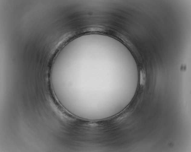 X0000112770253200908201357