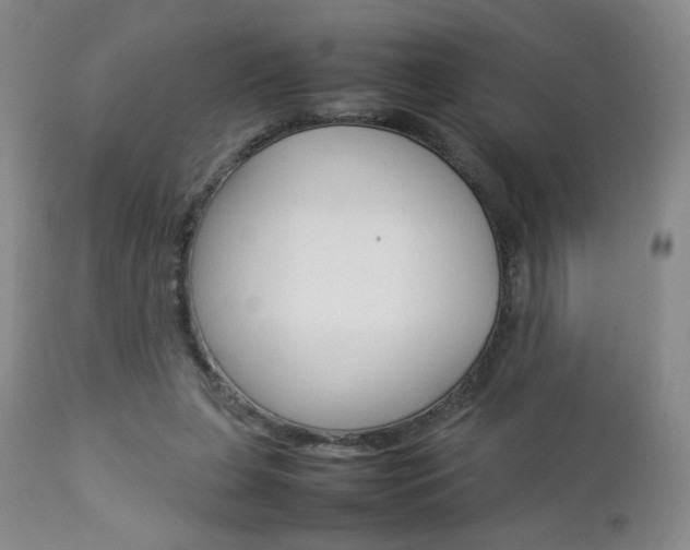 X0000112770255200908201357