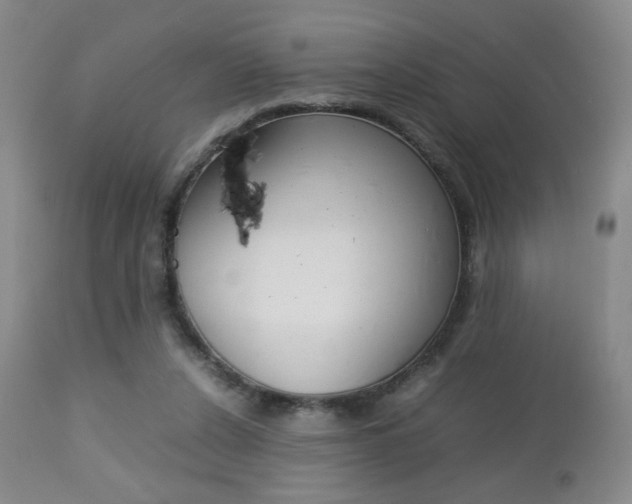 X0000112770256200908201357