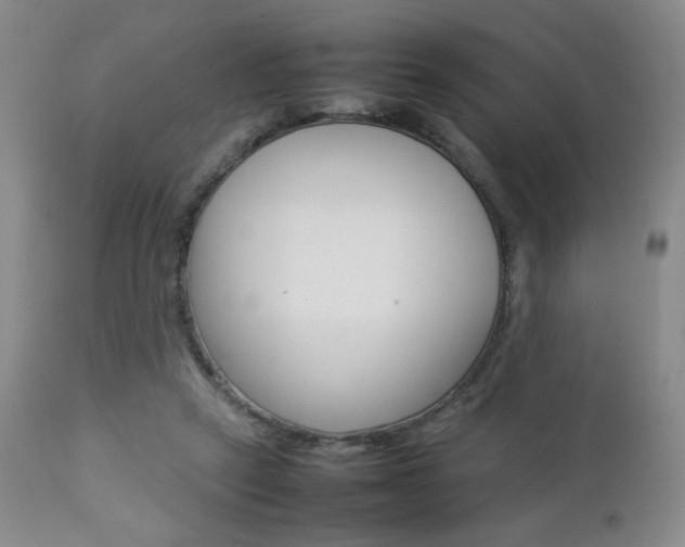 X0000112770257200908201357