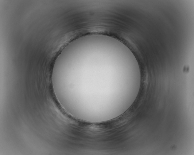 X0000112770261200908201357