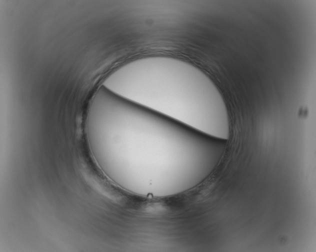 X0000112770262200908201357