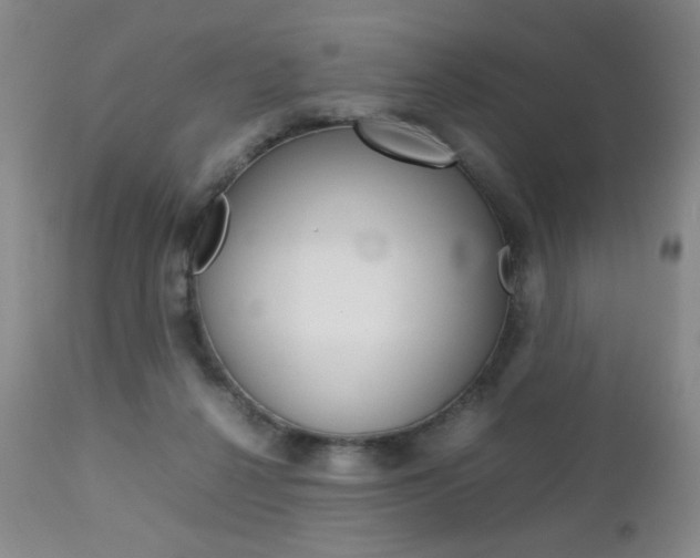 X0000112770264200908201357