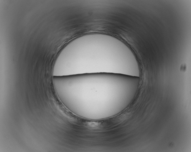 X0000112770265200908201357