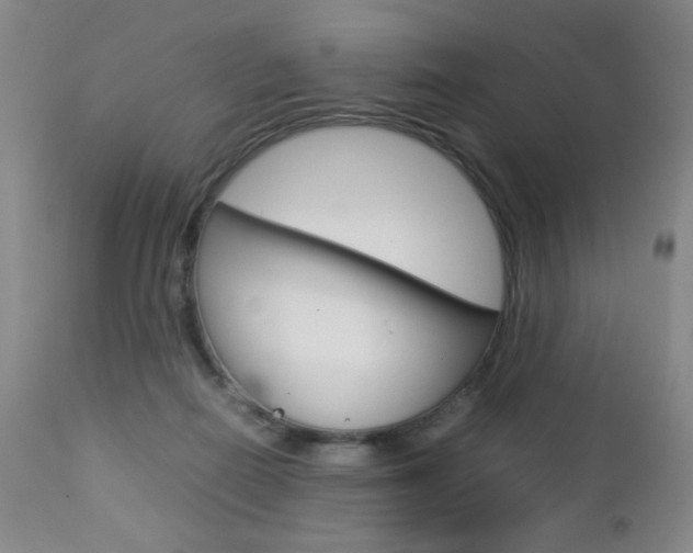 X0000112770266200908201357
