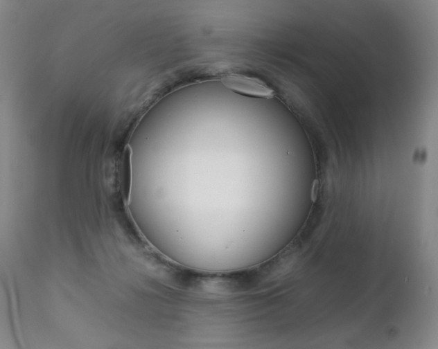 X0000112770268200908201357