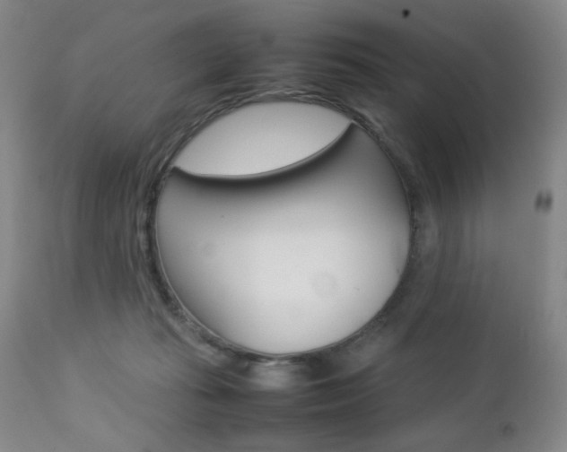 X0000112770269200908201357