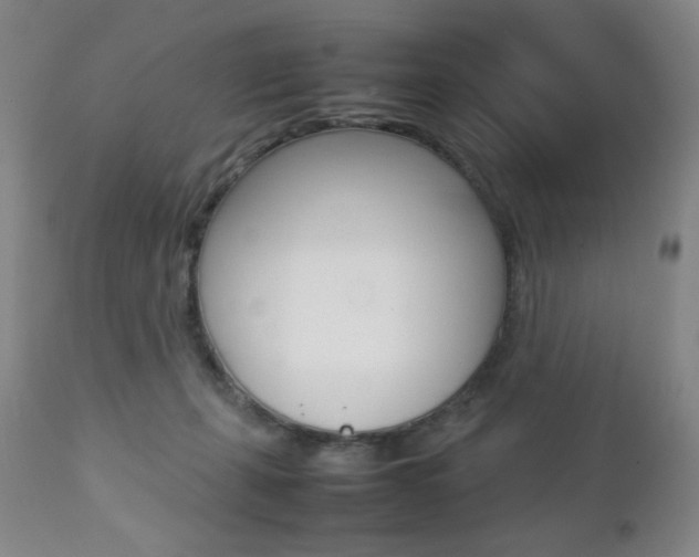X0000112770271200908201357