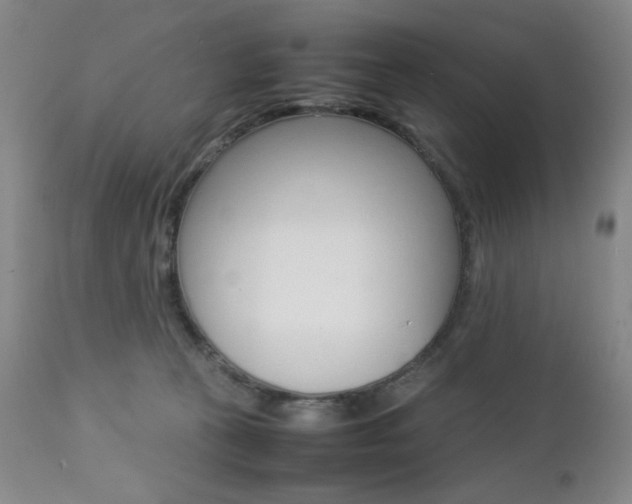 X0000112770273200908201357