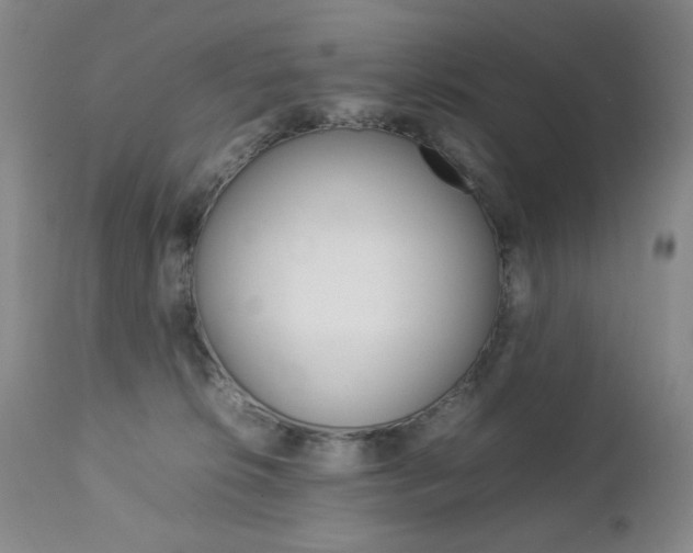 X0000112770276200908201357