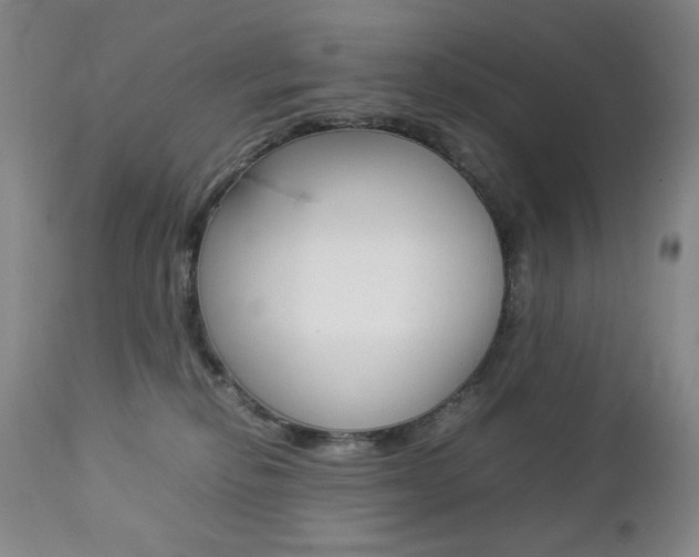 X0000112770278200908201357