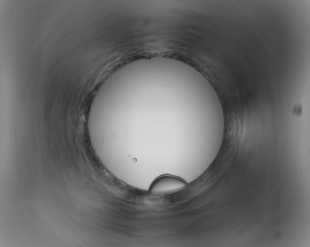 X0000112770279200908201357