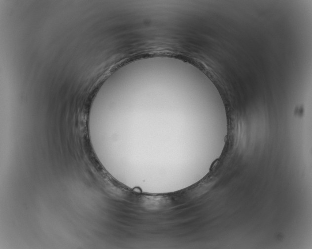 X0000112770281200908201357