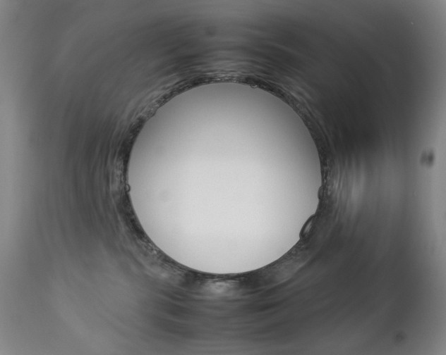 X0000112770283200908201357