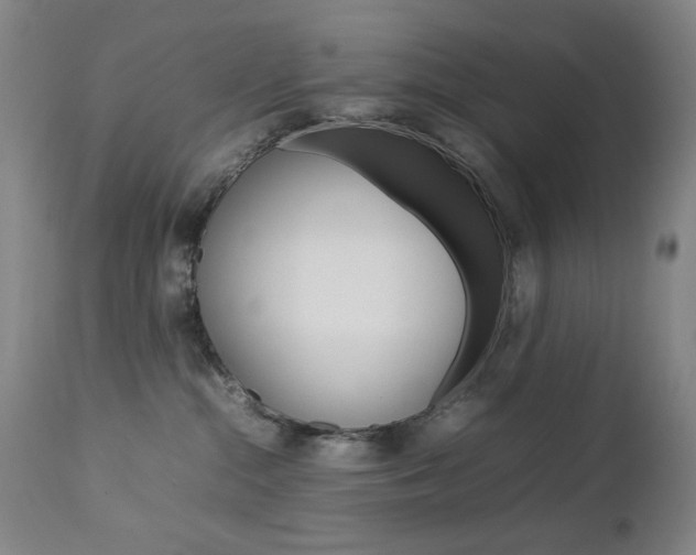X0000112770284200908201357