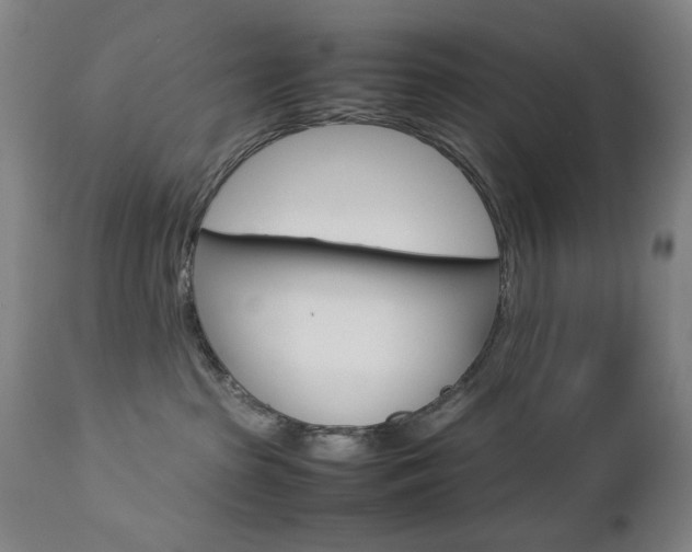 X0000112770285200908201357