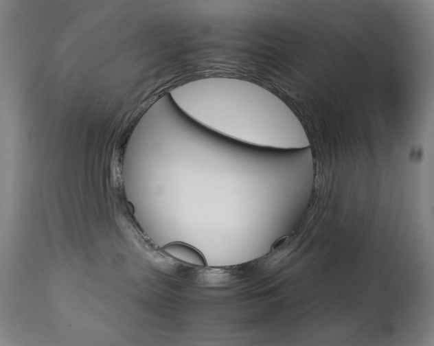 X0000112770287200908201357