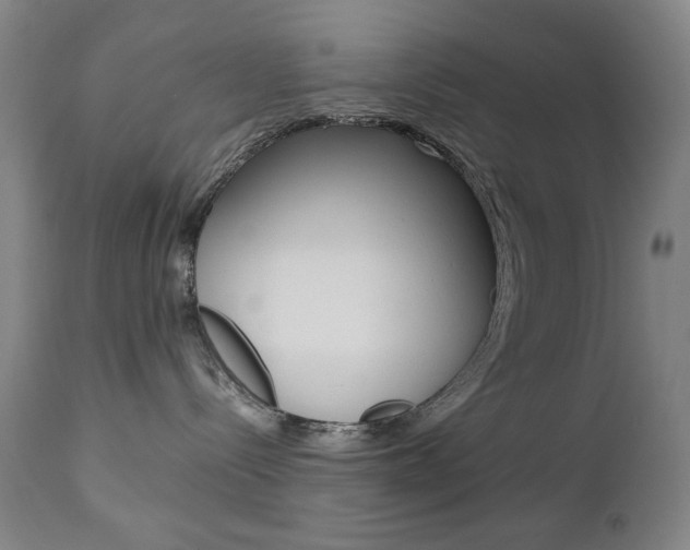 X0000112770288200908201357