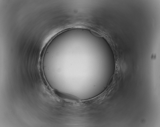 X0000112770292200908201357