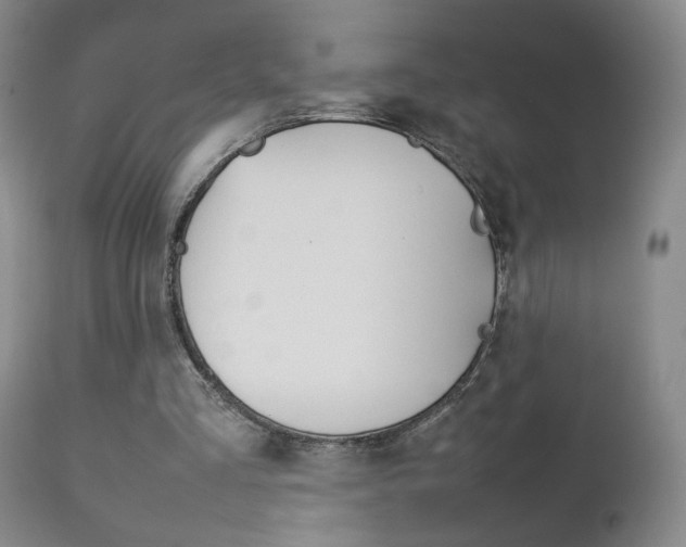 X0000112770293200908201357