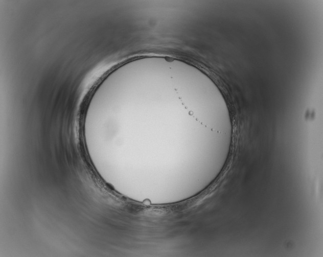X0000112770294200908201357
