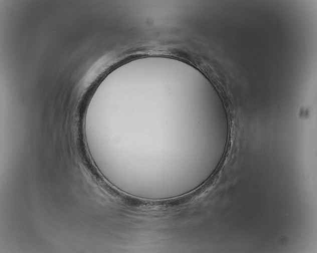 X0000112770295200908201356