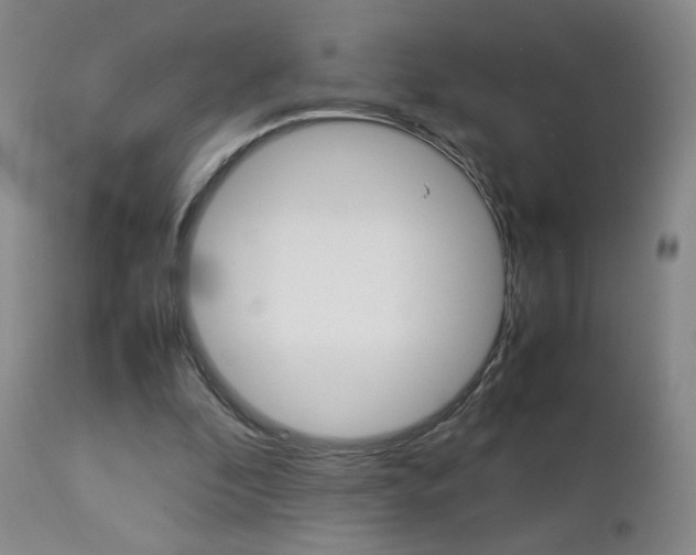 X0000112770296200908201356