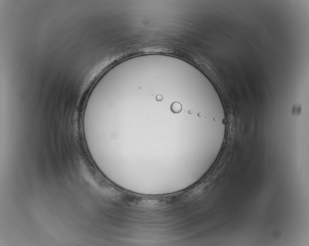 X0000112770298200908201356