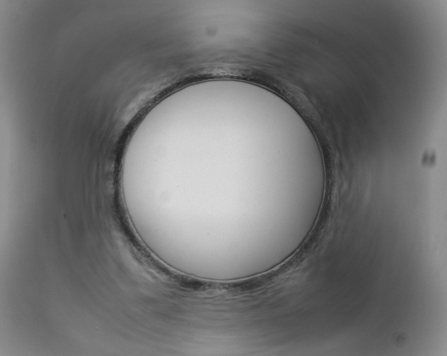 X0000112770299200908201356