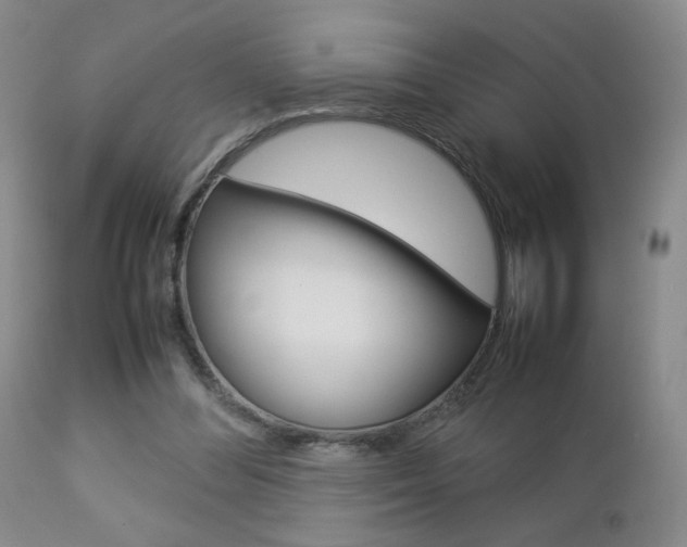 X0000112770300200908201356