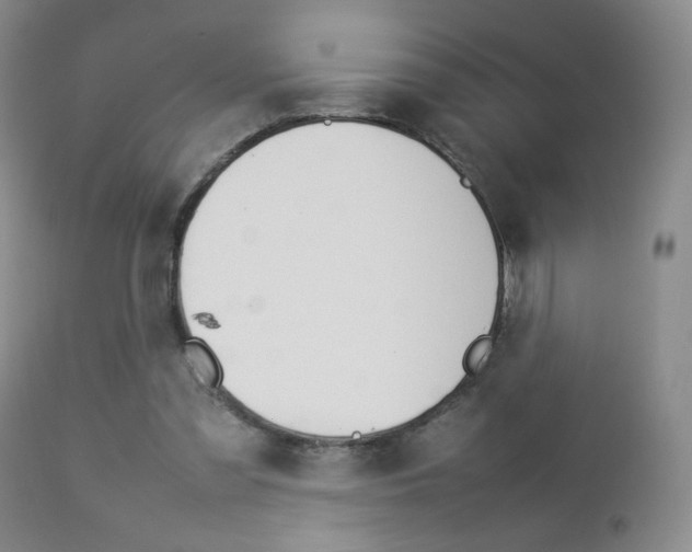 X0000112770301200908201356