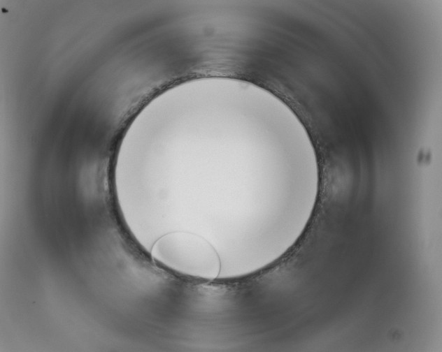 X0000112770302200908201356