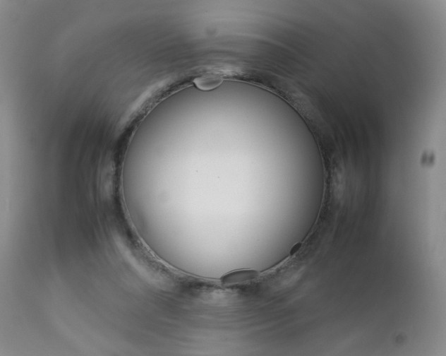 X0000112770304200908201356