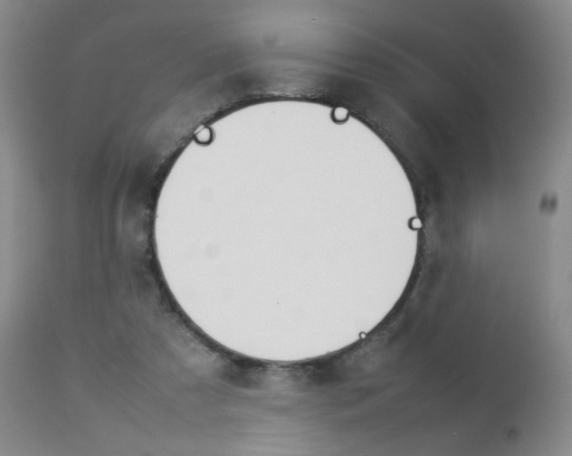 X0000112770305200908201356