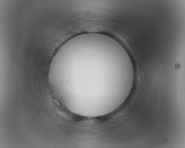X0000112770307200908201356