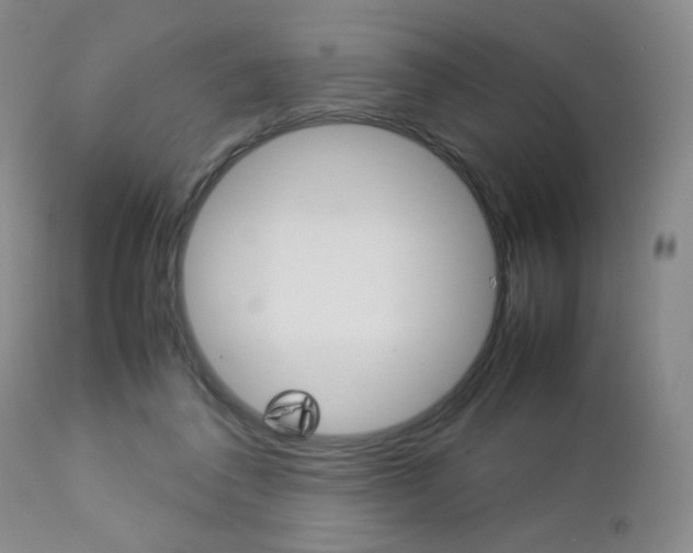 X0000112770308200908201356