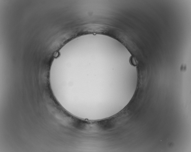 X0000112770309200908201356